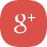 Google+ icon